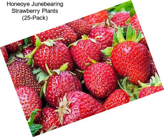 Honeoye Junebearing Strawberry Plants (25-Pack)