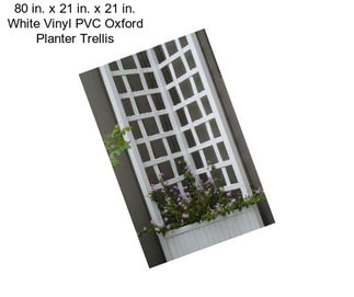 80 in. x 21 in. x 21 in. White Vinyl PVC Oxford Planter Trellis