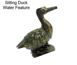 Sitting Duck Water Feature