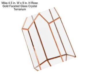 Mika 4.5 in. W x 9 in. H Rose Gold Faceted Glass Crystal Terrarium