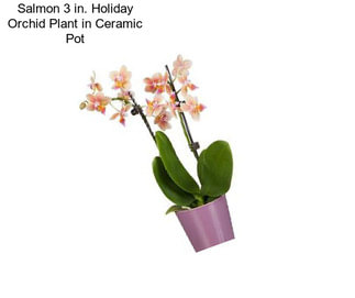 Salmon 3 in. Holiday Orchid Plant in Ceramic Pot