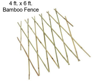 4 ft. x 6 ft. Bamboo Fence