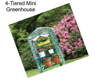 4-Tiered Mini Greenhouse