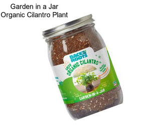 Garden in a Jar Organic Cilantro Plant