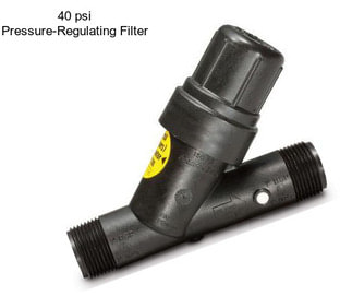 40 psi Pressure-Regulating Filter