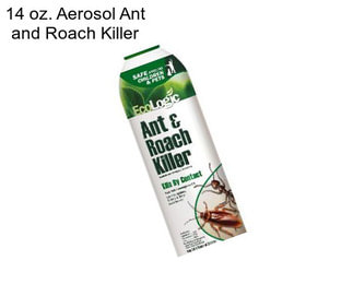 14 oz. Aerosol Ant and Roach Killer