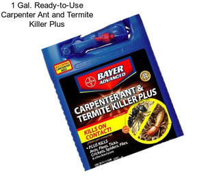 1 Gal. Ready-to-Use Carpenter Ant and Termite Killer Plus