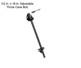 1/2 in. x 18 in. Adjustable Throw Cane Bolt