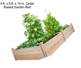 4 ft. x 8 ft. x 14 in. Cedar Raised Garden Bed