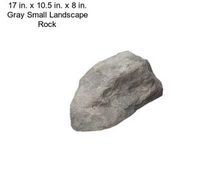 17 in. x 10.5 in. x 8 in. Gray Small Landscape Rock