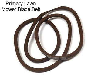 Primary Lawn Mower Blade Belt