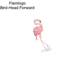 Flamingo Bird-Head Forward