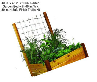 48 in. x 48 in. x 19 in. Raised Garden Bed with 48 in. W x 80 in. H Safe Finish Trellis Kit