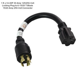 1 ft. L14-30P 30 Amp 125/250-Volt Locking Plug to 6-15/20 T-Blade 15/20 Amp 250-Volt Connector