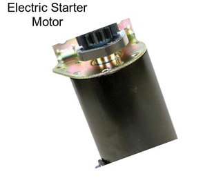 Electric Starter Motor