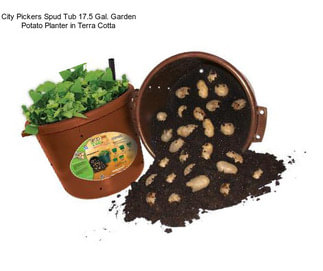 City Pickers Spud Tub 17.5 Gal. Garden Potato Planter in Terra Cotta