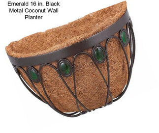 Emerald 16 in. Black Metal Coconut Wall Planter