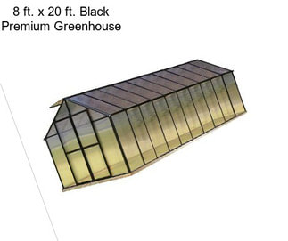 8 ft. x 20 ft. Black Premium Greenhouse
