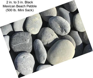 2 in. to 3 in. Black Mexican Beach Pebble (500 lb. Mini Sack)