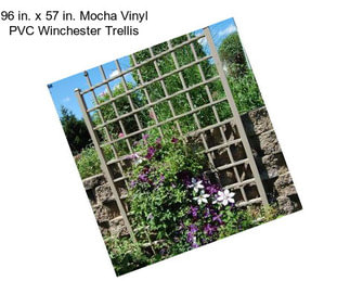 96 in. x 57 in. Mocha Vinyl PVC Winchester Trellis