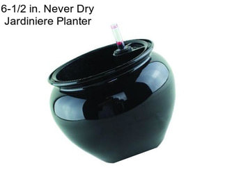 6-1/2 in. Never Dry Jardiniere Planter