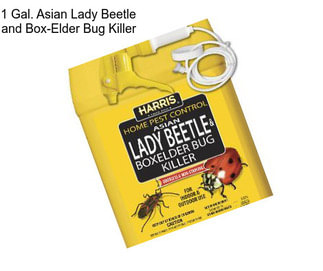 1 Gal. Asian Lady Beetle and Box-Elder Bug Killer