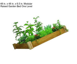 48 in. x 48 in. x 6.5 in. Modular Raised Garden Bed One Level