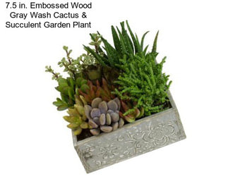 7.5 in. Embossed Wood Gray Wash Cactus & Succulent Garden Plant