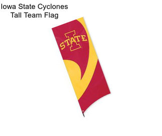 Iowa State Cyclones Tall Team Flag