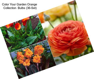 Color Your Garden Orange  Collection  Bulbs (36-Set)