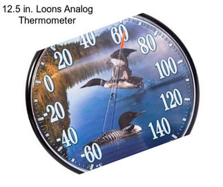 12.5 in. Loons Analog Thermometer