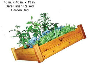 48 in. x 48 in. x 13 in. Safe Finish Raised Garden Bed