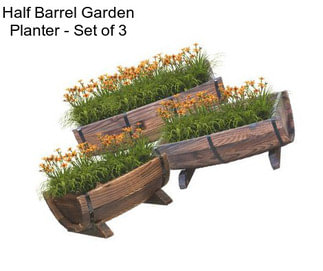 Half Barrel Garden Planter - Set of 3