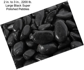2 in. to 3 in., 2200 lb. Large Black Super Polished Pebbles