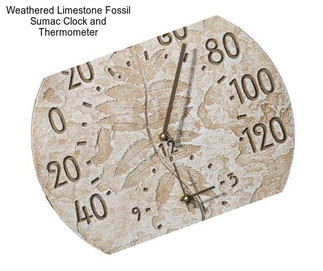 Weathered Limestone Fossil Sumac Clock and Thermometer