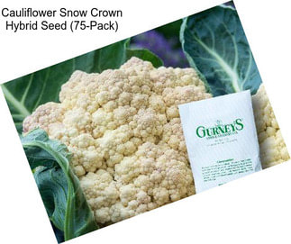 Cauliflower Snow Crown Hybrid Seed (75-Pack)