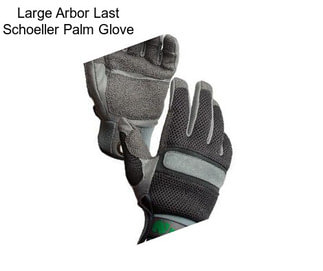 Large Arbor Last Schoeller Palm Glove