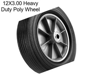 12X3.00 Heavy Duty Poly Wheel
