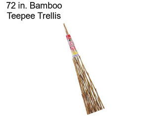 72 in. Bamboo Teepee Trellis