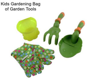 Kids Gardening Bag of Garden Tools