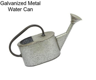 Galvanized Metal Water Can