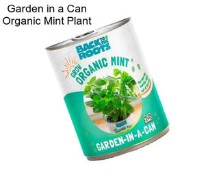 Garden in a Can Organic Mint Plant