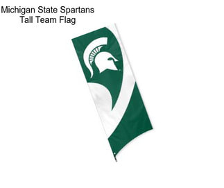 Michigan State Spartans Tall Team Flag