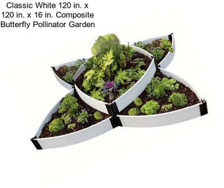 Classic White 120 in. x 120 in. x 16 in. Composite Butterfly Pollinator Garden