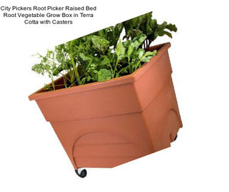 City Pickers Root Picker Raised Bed Root Vegetable Grow Box in Terra Cotta with Casters