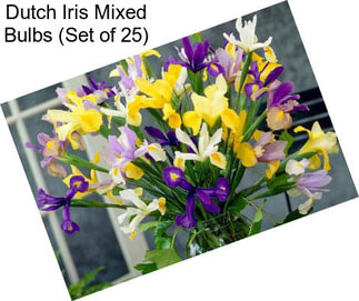 Dutch Iris Mixed Bulbs (Set of 25)