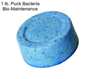 1 lb. Puck Bacteria Bio-Maintenance