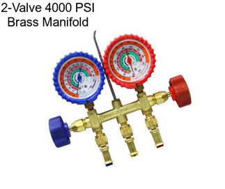2-Valve 4000 PSI Brass Manifold