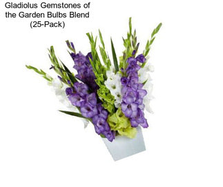Gladiolus Gemstones of the Garden Bulbs Blend (25-Pack)
