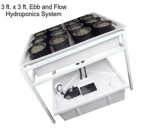 3 ft. x 3 ft. Ebb and Flow Hydroponics System